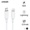 Cáp Sạc Anker Powerline USB-C To Lightning (3Ft/0.9M) A8612 1
