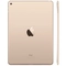 Apple iPad Air 2 4G 16GB - Cũ xước cấn 3