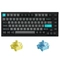 Bàn phím cơ AKKO Monsgeek MG75 Black & Cyan 1