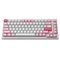 Bàn phím cơ AKKO Monsgeek MG75 Prunus Lannesiana 2