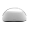 Loa Harman Kardon Go + Play 3 1