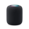 main - IC wifi HomePod 1