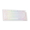 Bàn Phím Cơ Có Dây Dareu Ek87 Tkl/ Multi-Led/Đen Brown Switch 1