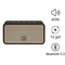 Loa Alpha Works AW-W38 1