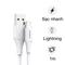 Cáp Pisen Fast - Vivid USB-A to lightning 1m 1