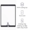 wp-content/uploads/images/products/259082/thay-kinh-cam-ung-ipad-pro-10-5-17877999192561.png
