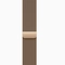 wp-content/uploads/images/products/260443/apple-watch-series-10-42mm-4g-vien-titan-day-thep-cu-tray-xuoc-17646076081750.png