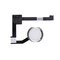 wp-content/uploads/images/products/261840/thay-cap-home-ipad-mini-4-17851280698386.png
