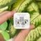 Sạc Pisen Quick PD 20W Pudding 4