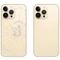 kính lưng iPhone 12 Pro Max chính hãng Aries 1
