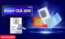 Định giá SIM, số điện thoại bằng AI miễn phí, chính xác 99%