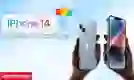 iPhone 14 có vân tay không