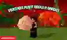 Vegetable Plant Grow a Garden