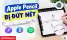 Apple Pencil bị đứt nét: Nguyên nhân và cách khắc phục