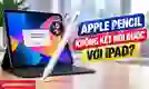 Apple Pencil không kết nối được với iPad