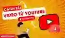 Cách tải video từ YouTube trên điện thoại, máy tính