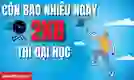Còn bao nhiêu ngày nữa 2k8 thi đại học