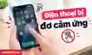 Điện thoại bị đơ cảm ứng: Cách khắc phục nhanh, hiệu quả