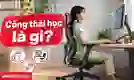 Công thái học là gì