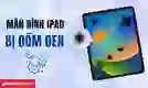 Màn hình iPad bị đốm đen