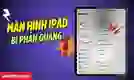 Màn hình iPad bị phản quang: Nguyên nhân và cách khắc phục