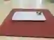 iPhone 12 Pro Max 256GB cũ trầy xước - *********668876 - 4